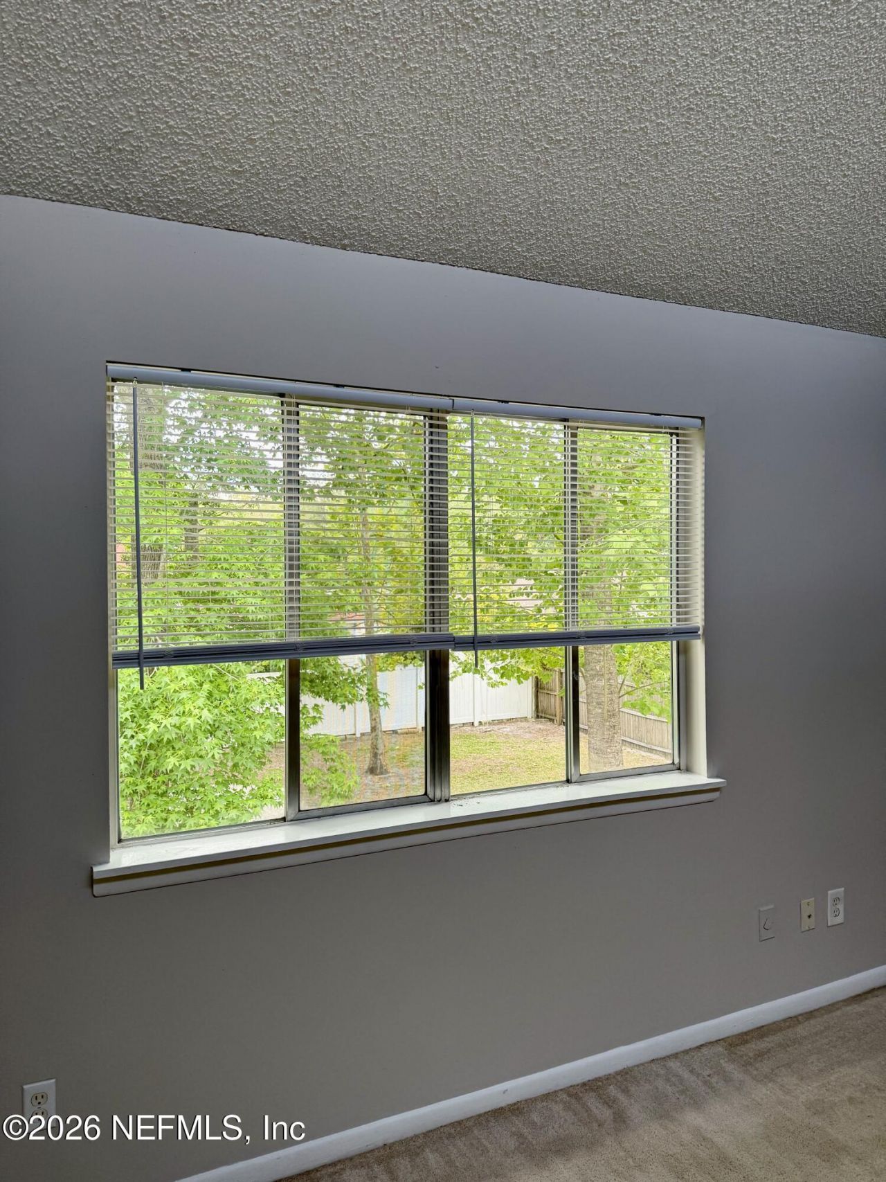 11598 West Ride Drive, Jacksonville, FL 32223 Photo