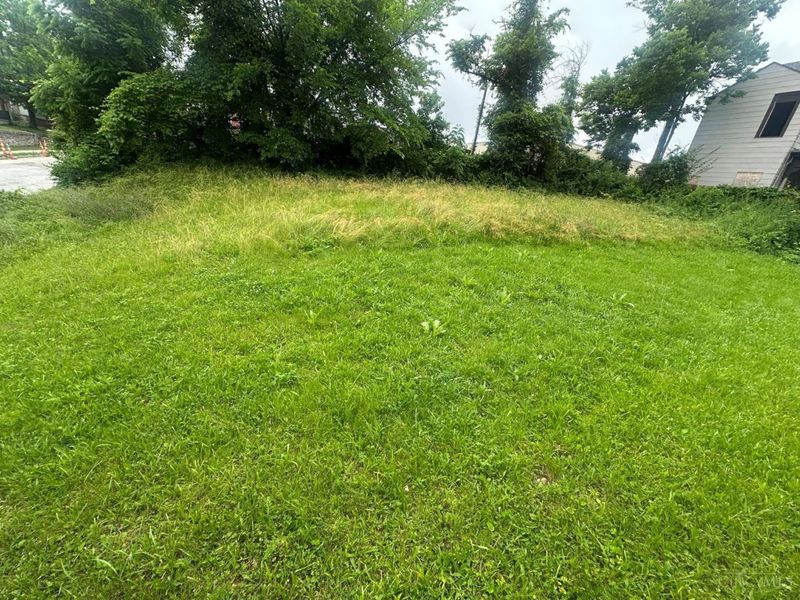 962 Wells Street, Cincinnati, OH 45205 Photo 6