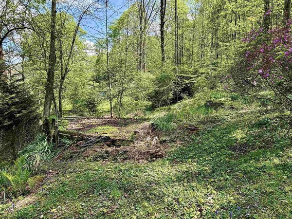 94, 95, 96 Crystal Lake, West Union, WV 26456