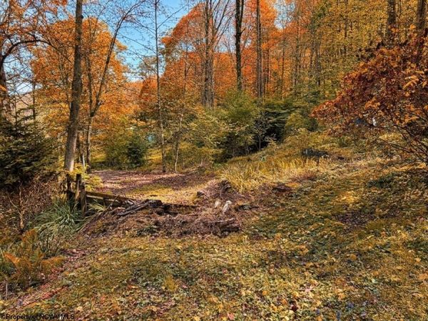 94, 95, 96 Crystal Lake, West Union, WV 26456
