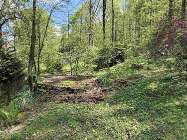 94, 95, 96 Crystal Lake, West Union, WV 26456