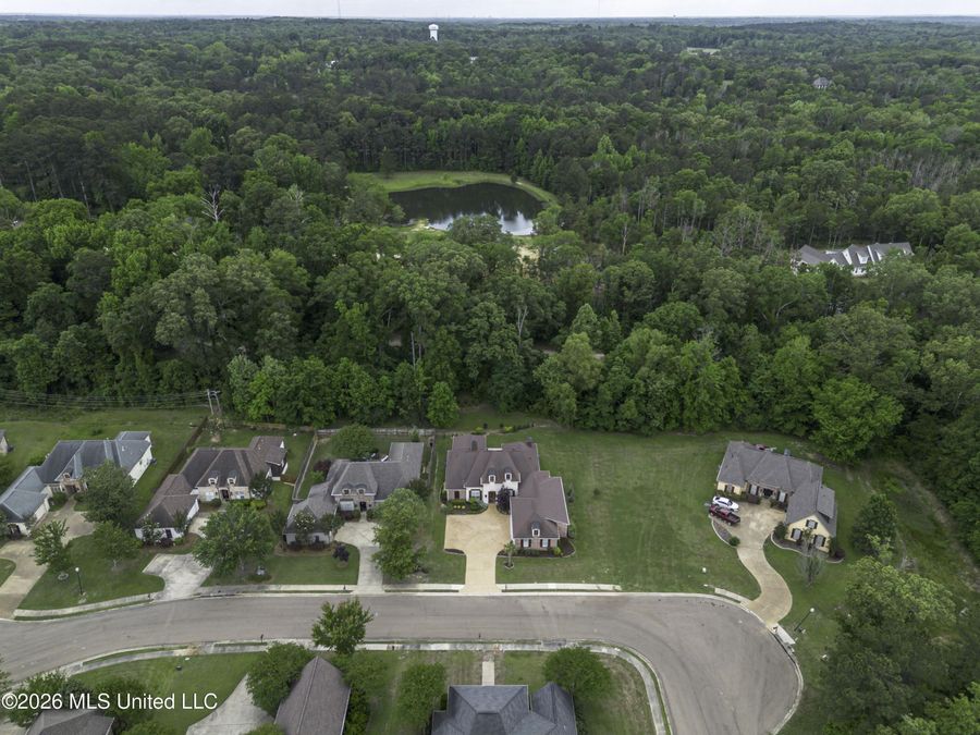 Property Image 61