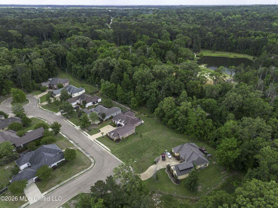 Property Image 62