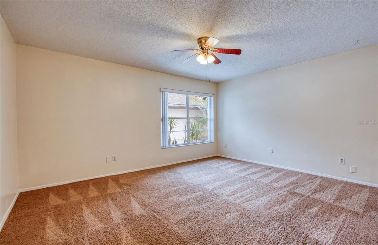 6922 Silvermill Drive, Tampa, FL 33635 Photo