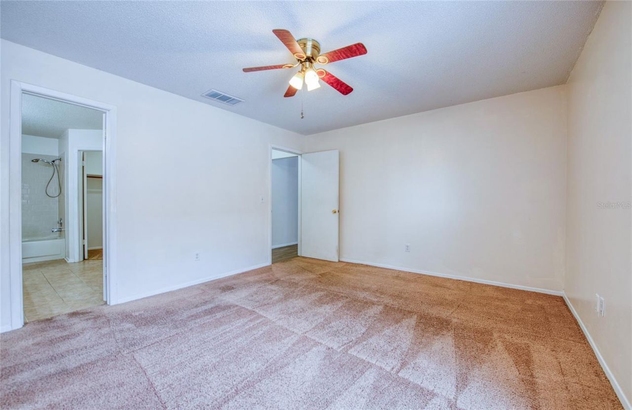 6922 Silvermill Drive, Tampa, FL 33635 Photo