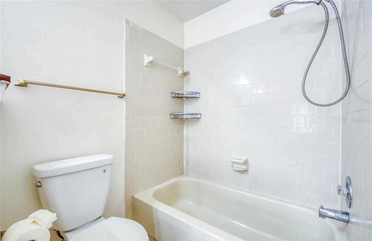 6922 Silvermill Drive, Tampa, FL 33635 Photo