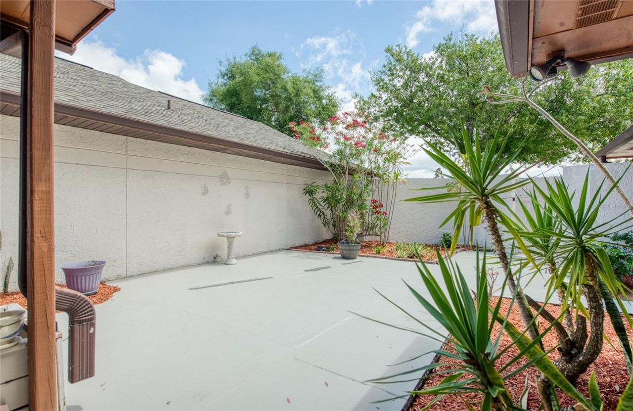 6922 Silvermill Drive, Tampa, FL 33635 Photo