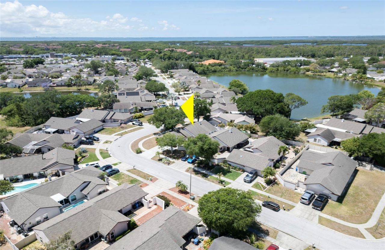 6922 Silvermill Drive, Tampa, FL 33635 Photo