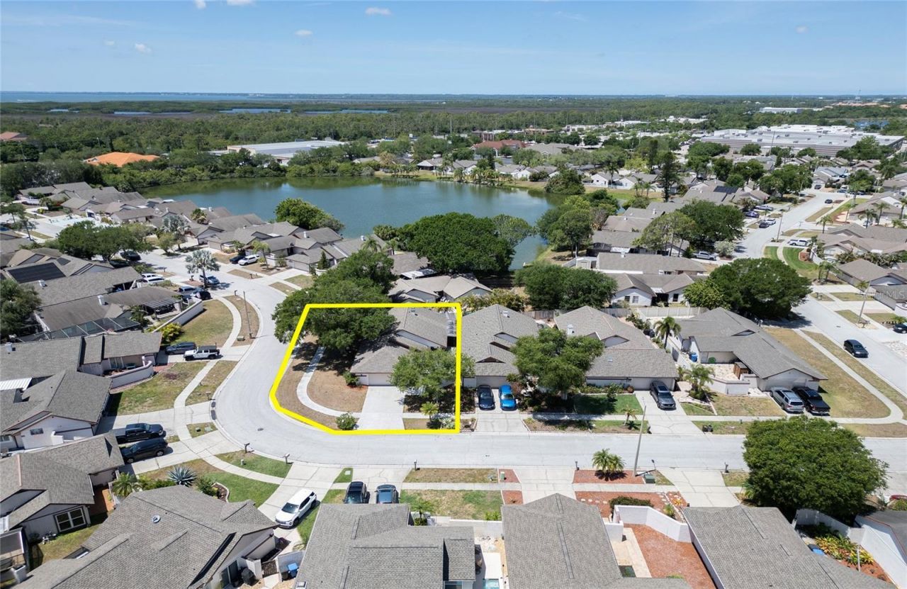 6922 Silvermill Drive, Tampa, FL 33635 Photo