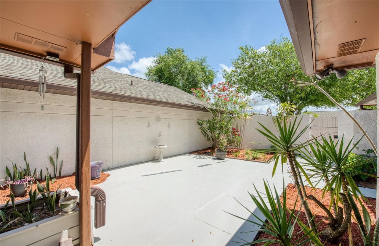 6922 Silvermill Drive, Tampa, FL 33635 Photo