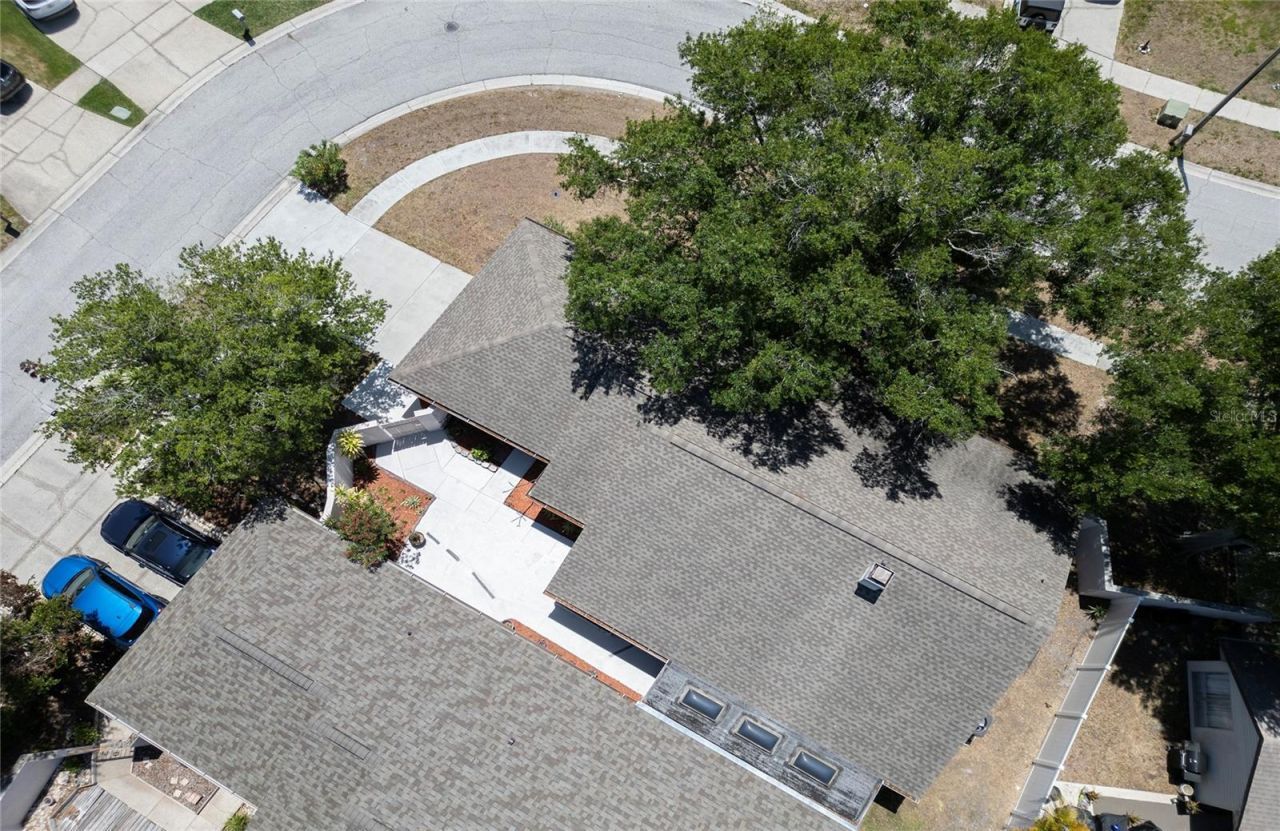 6922 Silvermill Drive, Tampa, FL 33635 Photo
