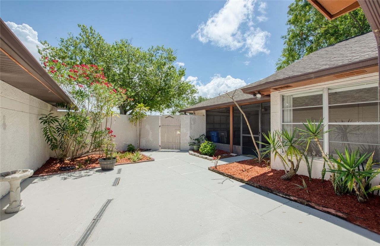 6922 Silvermill Drive, Tampa, FL 33635 Photo