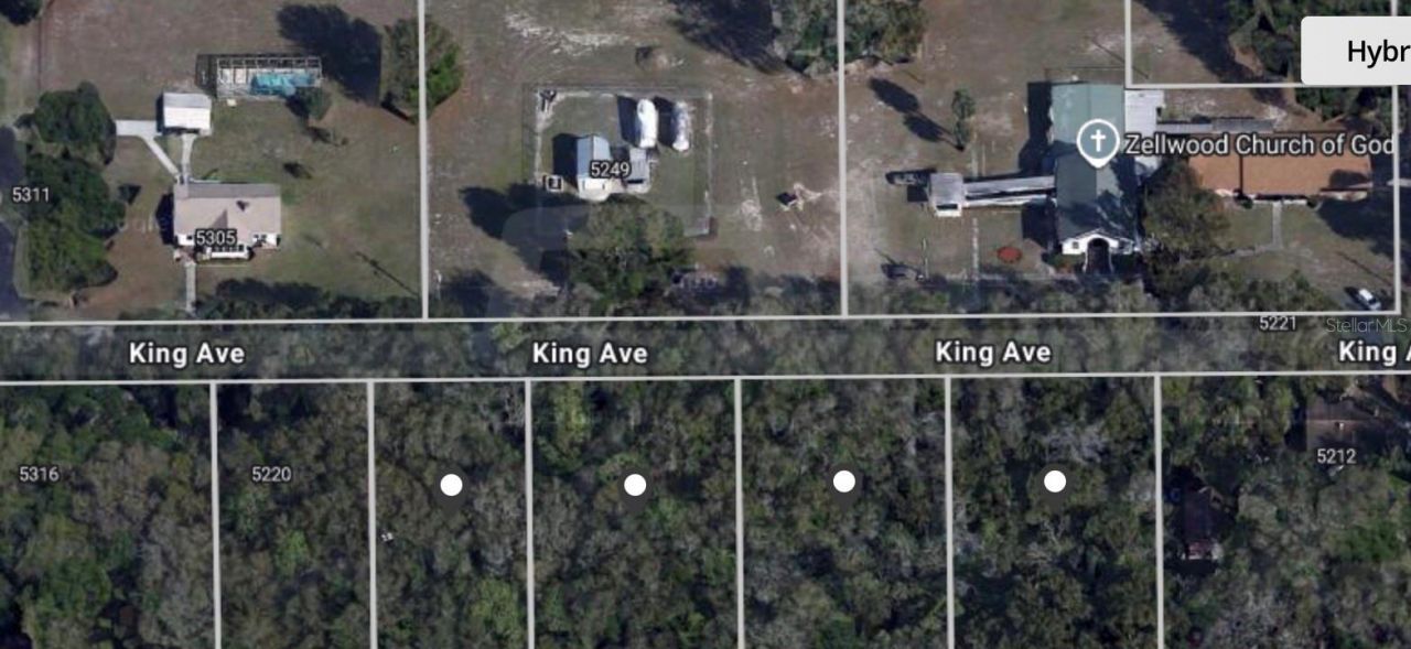 Tbd King Avenue, Zellwood, FL 32798 Photo