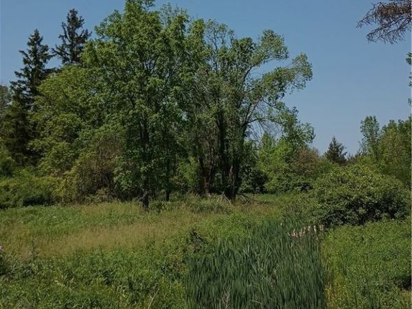 4876 William Street , Lancaster, NY 14086