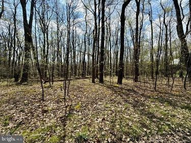 Lot 13 TIMERMAN ROAD, CLAYSBURG, PA 16625