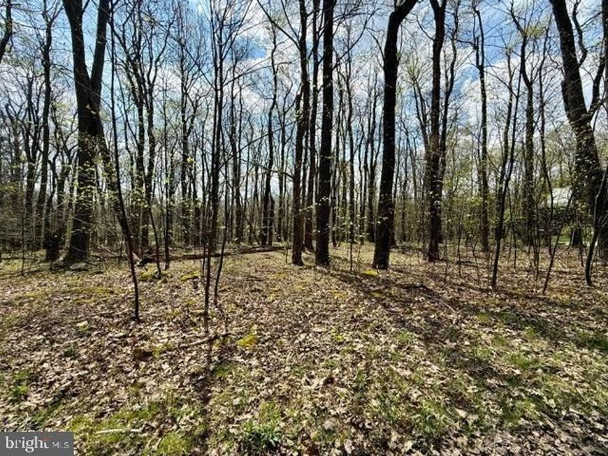 Lot 13 Timerman Road , Claysburg, PA 16625 Main Photo