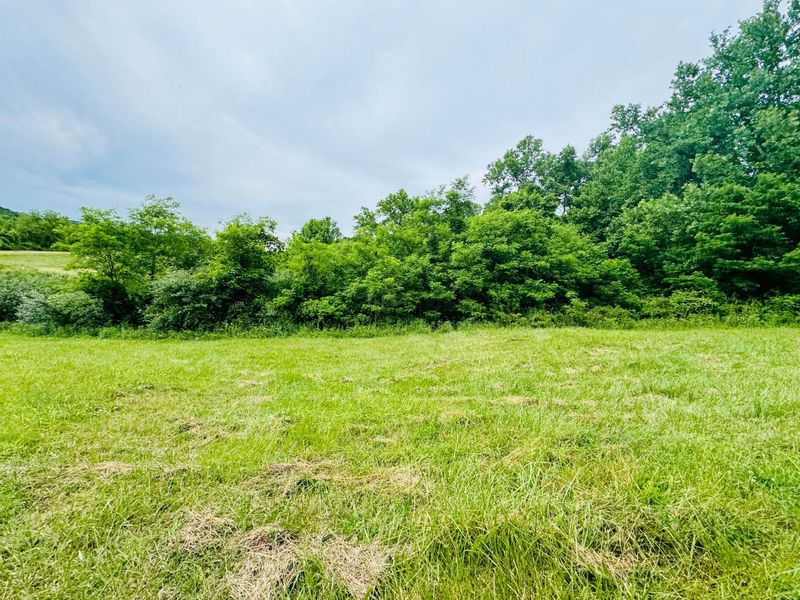 37406 New Lima Road , Rutland, OH 45775 Photo 5