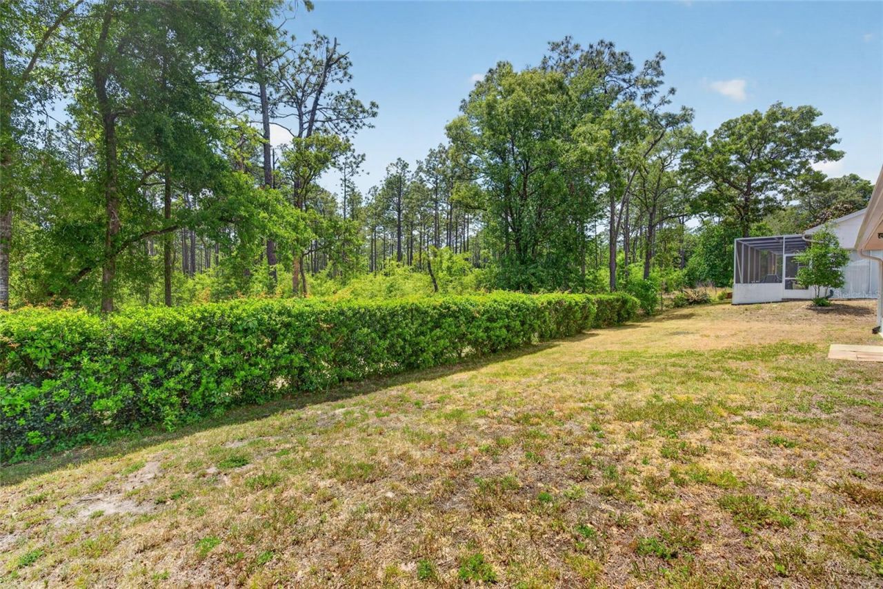 11755 SW 79th Circle , Ocala, FL 34476 Photo