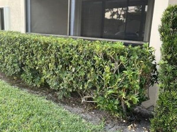 708 Sunny Pine Way, Unit A1, Greenacres, FL 33415