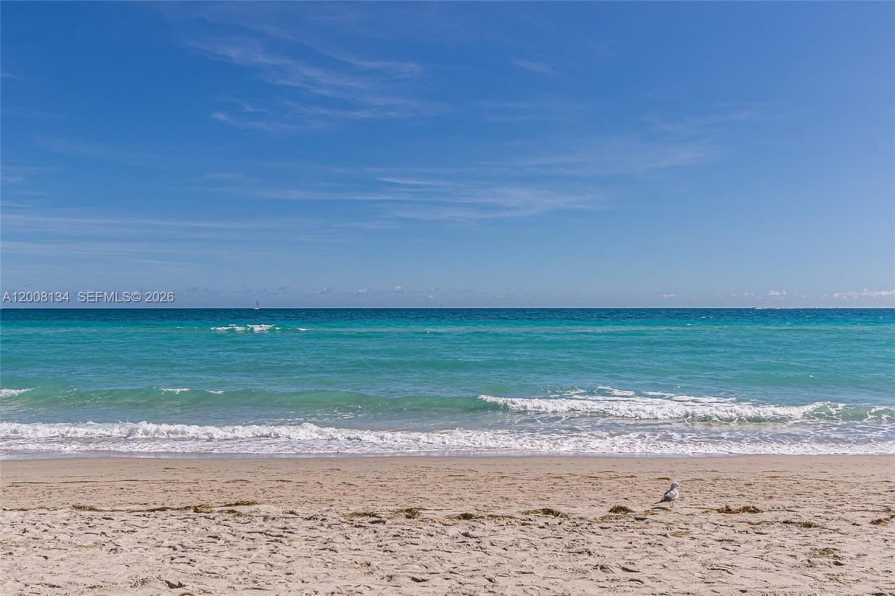 1601 S Ocean Dr , Unit 305, Hollywood, FL 33019 Photo