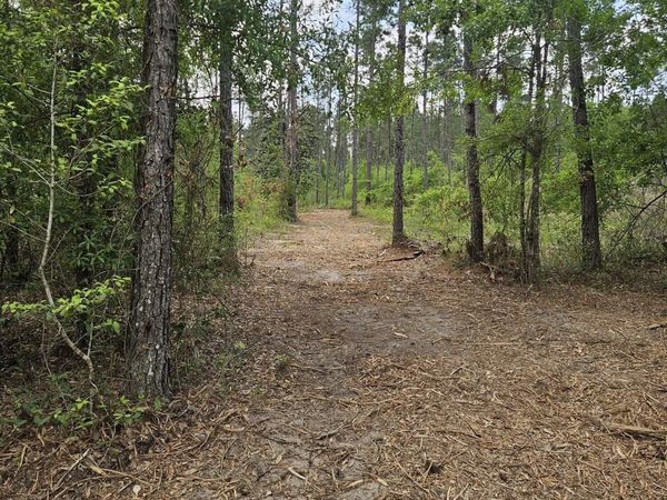 Lot 2 Rocky Creek Road, Marianna, FL 32448