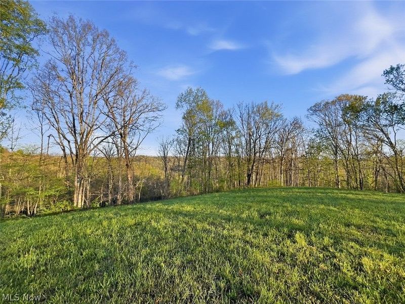 0 Union Hill Road, Blue Rock, OH 43720 Photo 14