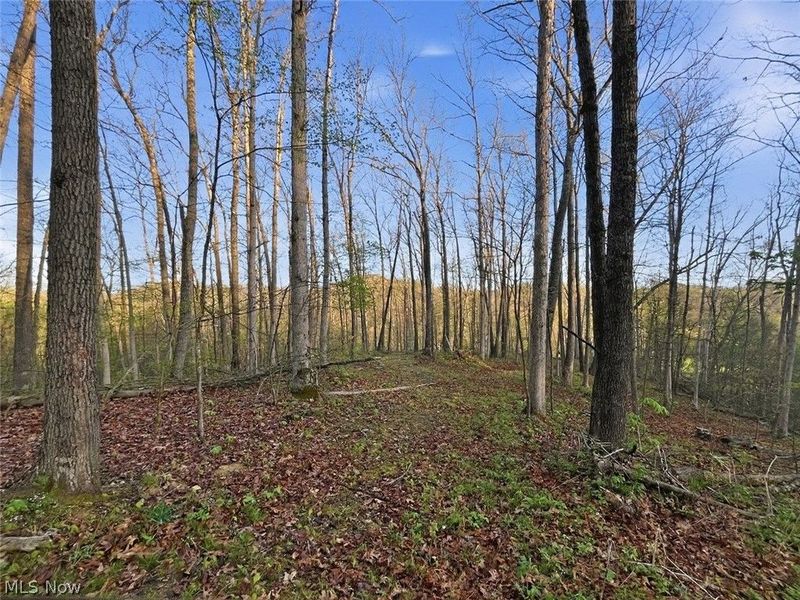 0 Union Hill Road, Blue Rock, OH 43720 Photo 15