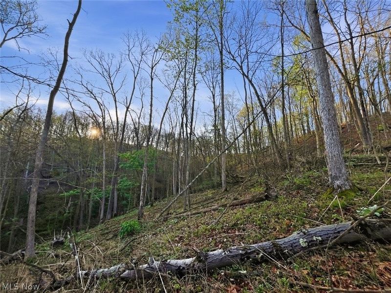0 Union Hill Road, Blue Rock, OH 43720 Photo 17