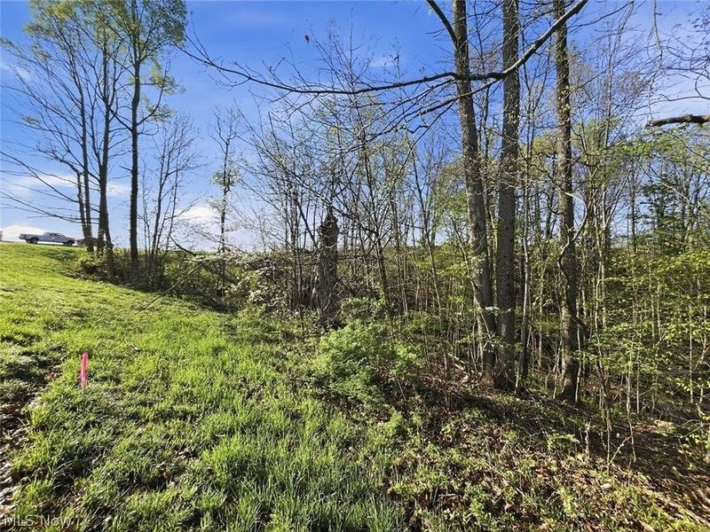 0 Union Hill Road, Blue Rock, OH 43720 Photo 20