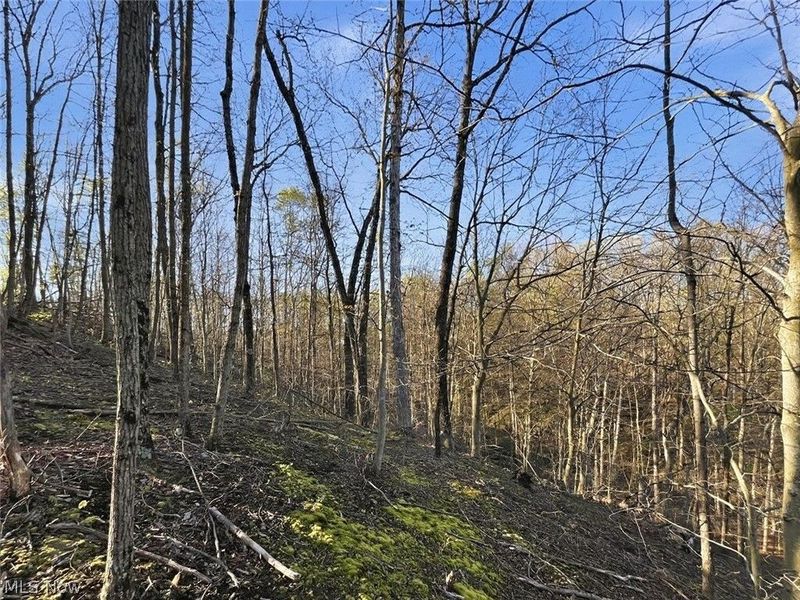 0 Union Hill Road, Blue Rock, OH 43720 Photo 24