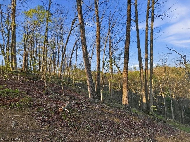 0 Union Hill Road, Blue Rock, OH 43720 Photo 27
