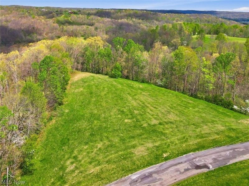 0 Union Hill Road, Blue Rock, OH 43720 Photo 3