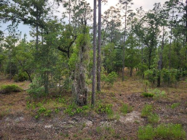 00 SE 130TH CT, DUNNELLON, FL 34431