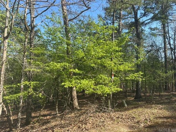 5 Saldana Way , Hot Springs Village, AR 71909