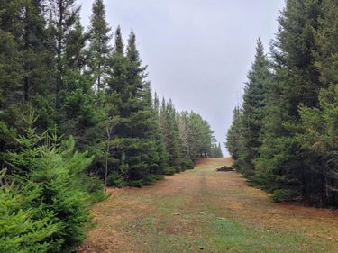 TBD Timber Wolf Trail SW, Pine River, MN 56435