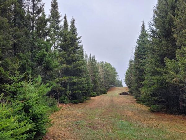 TBD Timber Wolf Trail SW, Pine River, MN 56435