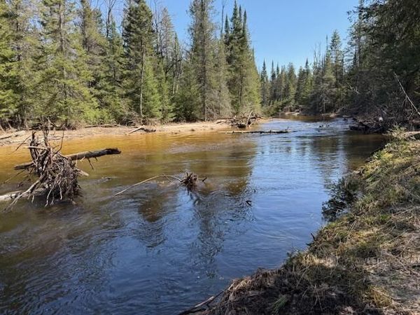 5001 Big Sky Trail, Indian River, MI 49749