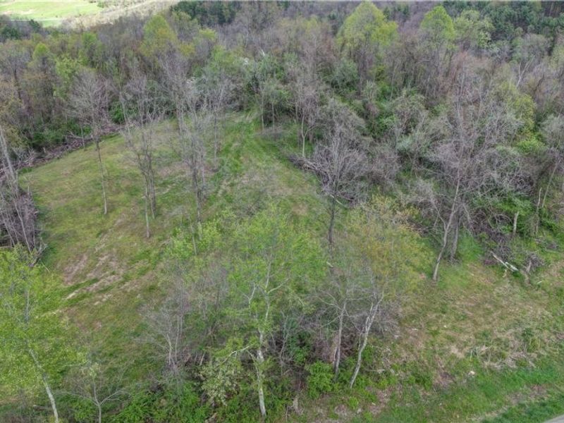 Deersville Ridge Road, Cadiz, OH 43907 Photo 10