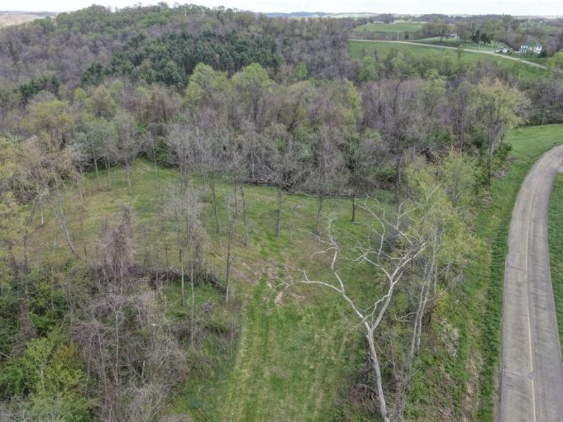 Deersville Ridge Road, Cadiz, OH 43907 Photo 11