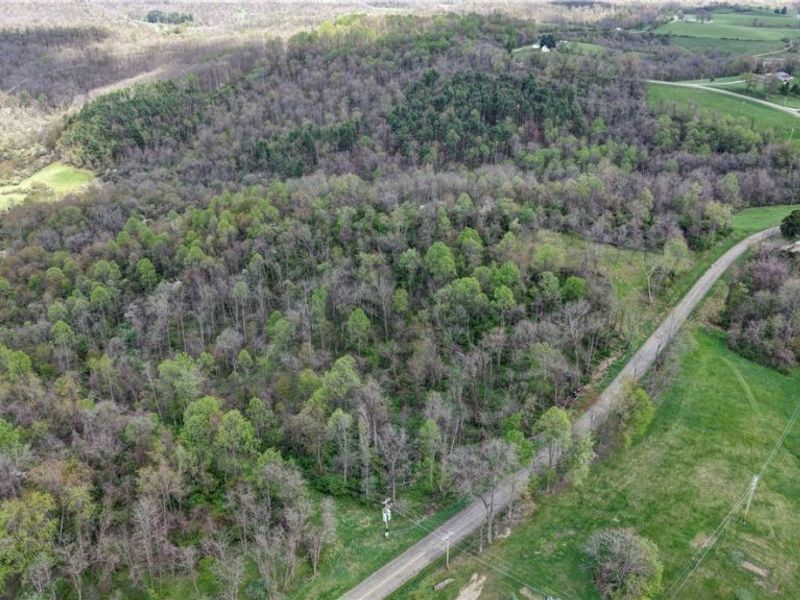 Deersville Ridge Road, Cadiz, OH 43907 Photo 12