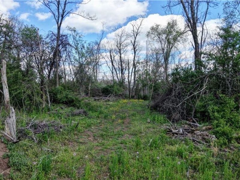 Deersville Ridge Road, Cadiz, OH 43907 Photo 13