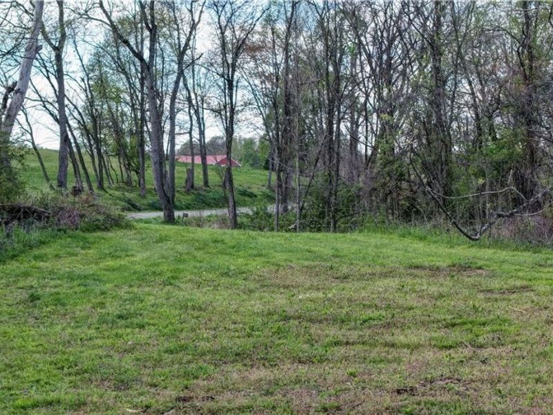 Deersville Ridge Road, Cadiz, OH 43907 Photo 14