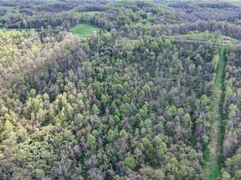 Deersville Ridge Road, Cadiz, OH 43907 Photo 17