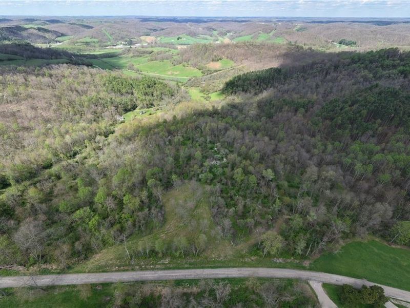 Deersville Ridge Road, Cadiz, OH 43907 Photo 18