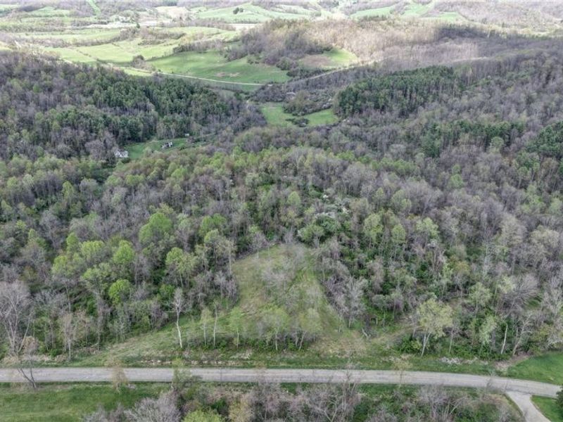 Deersville Ridge Road, Cadiz, OH 43907 Photo 2