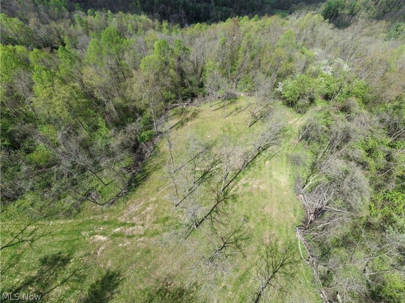 Deersville Ridge Road, Cadiz, OH 43907 Photo 20