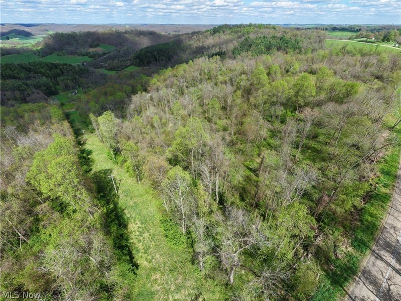 Deersville Ridge Road, Cadiz, OH 43907 Photo 21