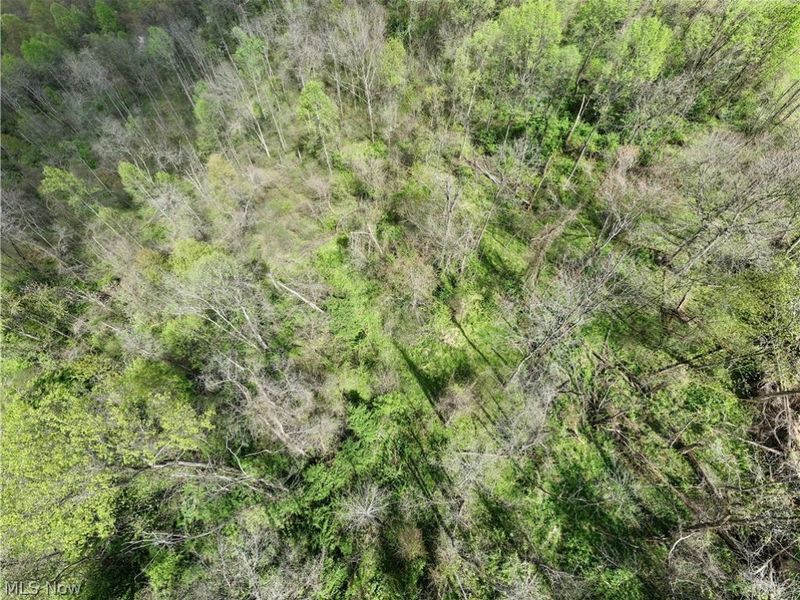 Deersville Ridge Road, Cadiz, OH 43907 Photo 22