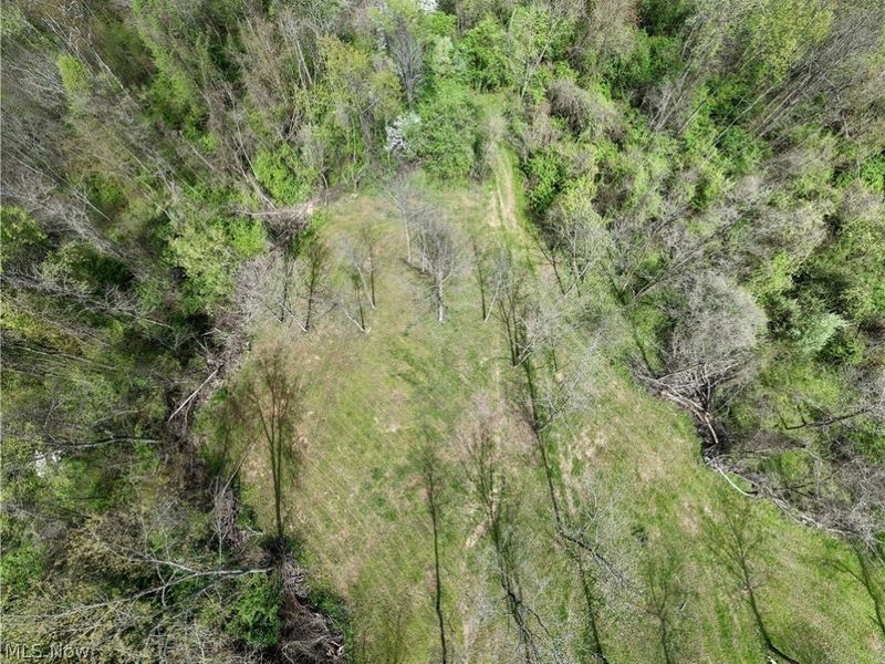 Deersville Ridge Road, Cadiz, OH 43907 Photo 23