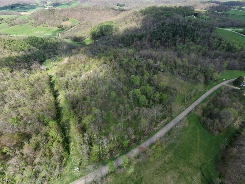 Deersville Ridge Road, Cadiz, OH 43907 Photo 24